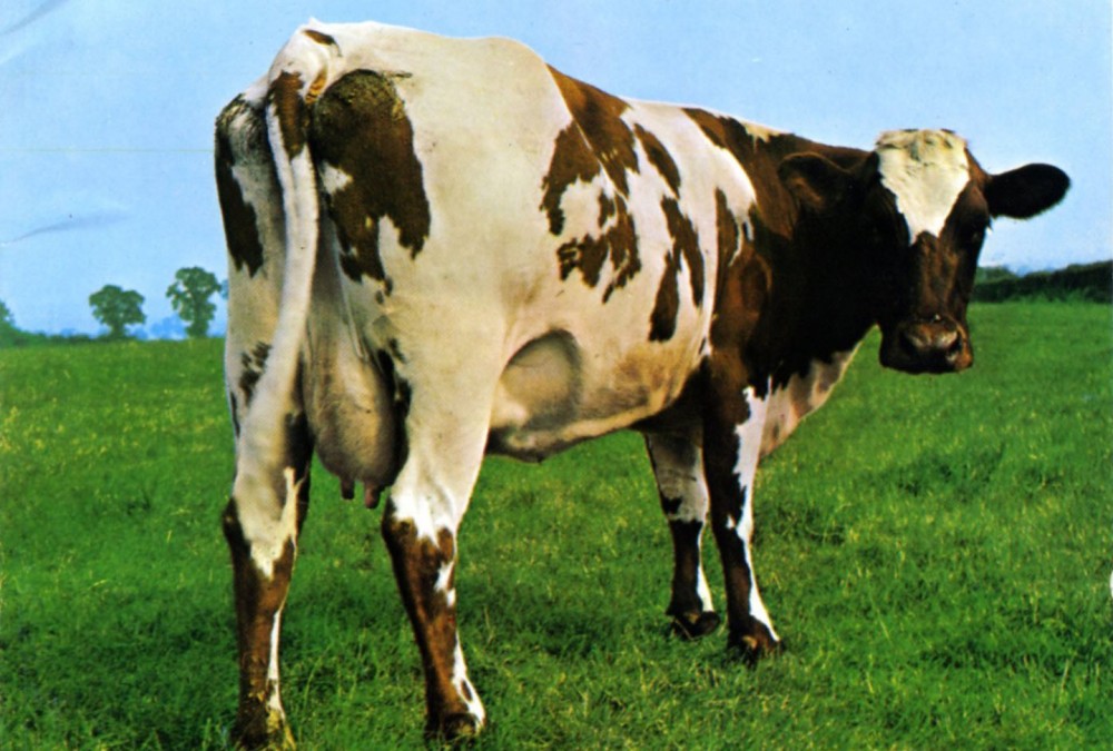 cropped-allcdcovers_pink_floyd_atom_heart_mother_1994_retail_cd-front.jpg